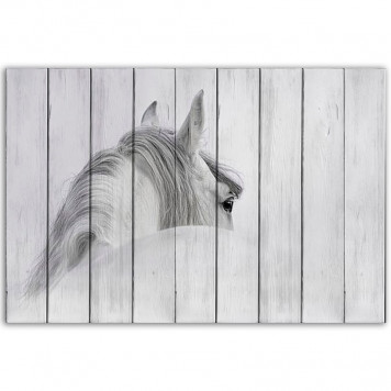 Картина на досках Белая лошадь 1 40 х 60 см