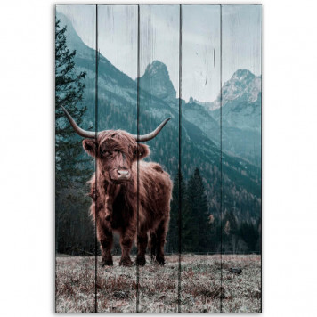 Картина на досках Шотландский бык 40 х 60 см