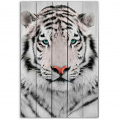 Белый тигр 40 х 60