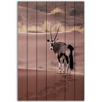 Картина на досках Антилопа в пустыне 40 х 60 см