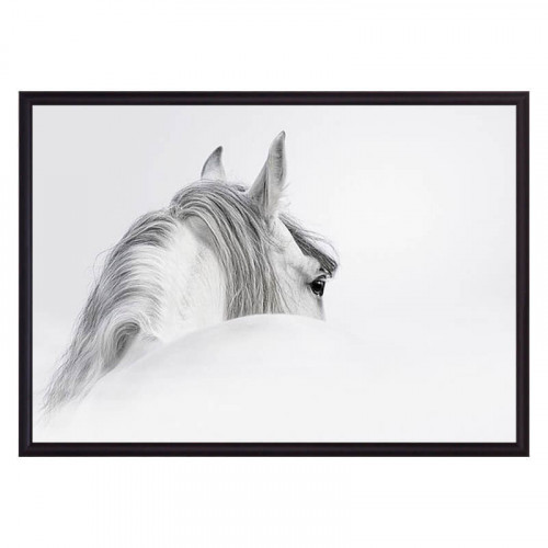 Постеры на стену, картины Белая лошадь 1 40 х 60 см