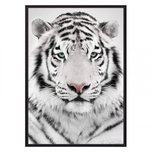 Интерьерные постеры на стену Белый тигр 30 х 40 см