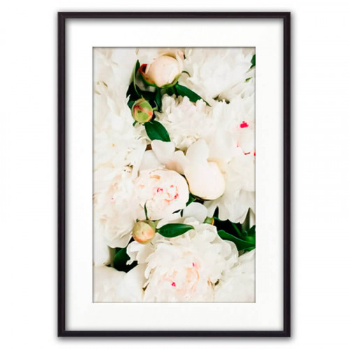 Постер на стену цветок Белые пионы 50 х 70 см