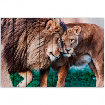 Картина Лев со львицей