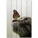 Картина на досках Кошка и бабочка 40 х 60 см