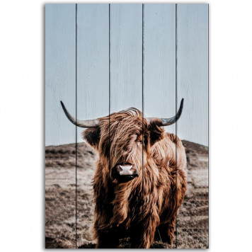 Картина на дереве Шотландский бык 2 40 х 60 см