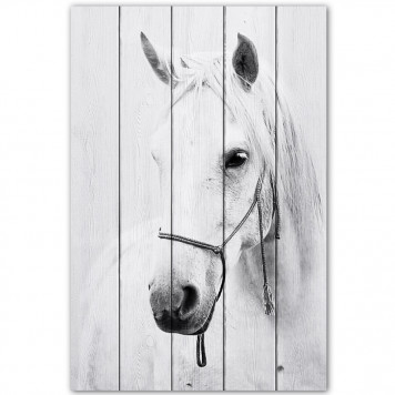 Картина на досках Белая лошадь 2 40х60 см