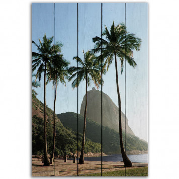 Картина на дереве Побережье Рио-де-Жанейро 40 х 60 см