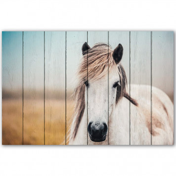 Картина на досках Белая лошадь 3 60х90 см