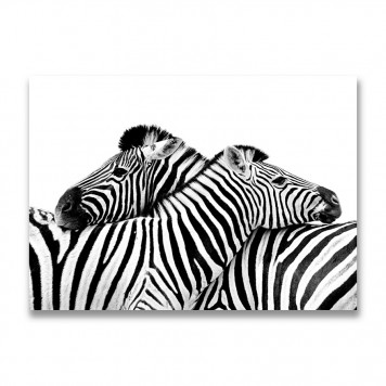 Картина на холсте Две зебры 50 х 70 см