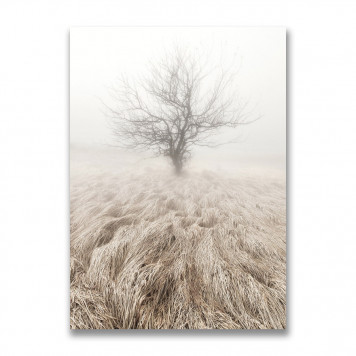 Картина на холсте Дерево в тумане 50 х 70 см