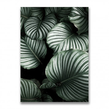 Картина на холсте Зеленые листья №3 50 х 70 см
