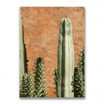 Картина на холсте Кактусы 50 х 70 см