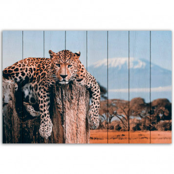 Картина на досках Леопард в прериях 40 х 60 см