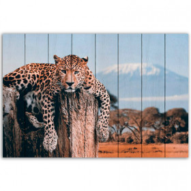 Леопард в прериях 60х90