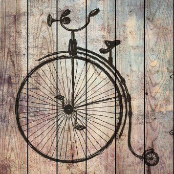 Картина на досках Цирковой велосипед