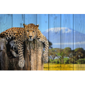  Леопард в прериях 40х60