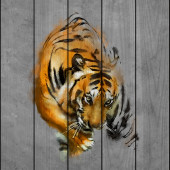  Крадущийся тигр 