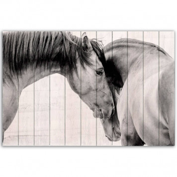 Картина на досках Две лошади 60х90 см
